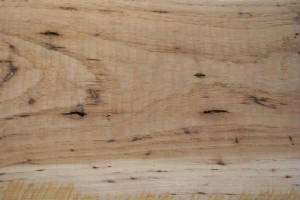 Lumber/BE1x8x8-Hickory01.JPG