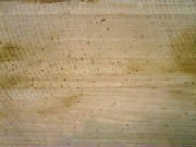 Samples/no-nail-sawn-floor-board.jpg