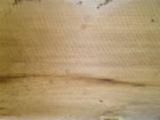 Samples/no-nail-sawn-floor-board5.jpg