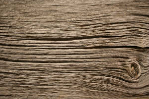 Siding/CBwhgray01.JPG