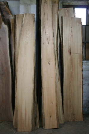slabwood/3-7-20elm-oak.JPG