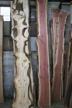 slabwood/3-7-20pine-cedar.JPG